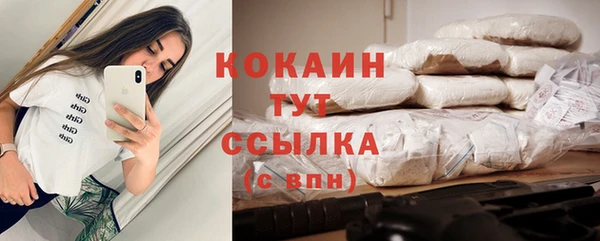 трава Арсеньев