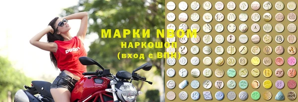 винт Алзамай