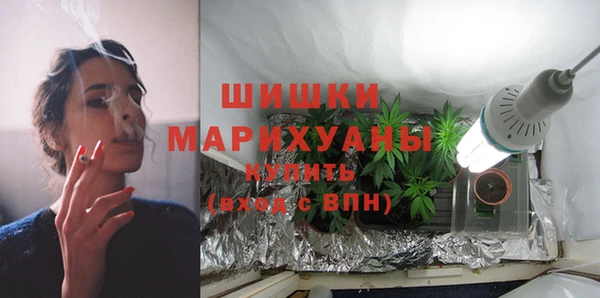 трава Арсеньев
